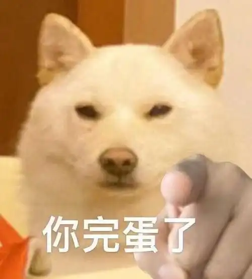 阿猫阿狗沙雕表情包