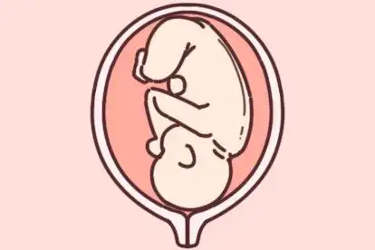 loa胎位图l是左边英文left的简称,代表在盆骨左侧o代表枕,为顶先露