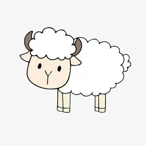 卡通小绵羊简笔画