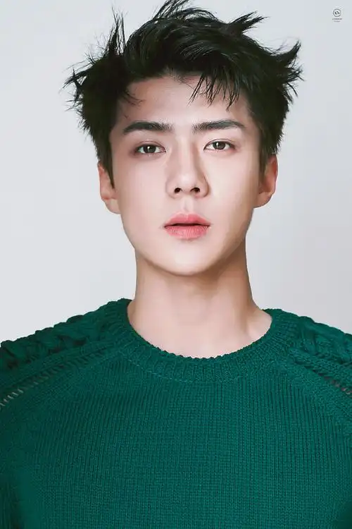 吴世勋出演电影海盗2