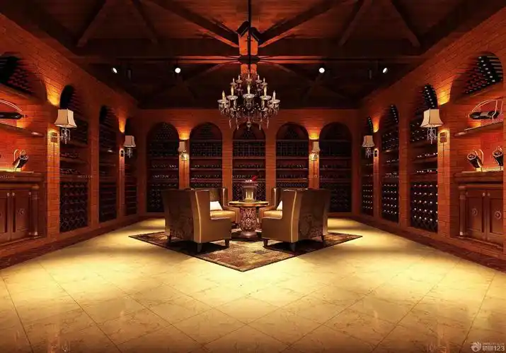 别墅酒窖多边形吊顶造型装修设计效果图片
