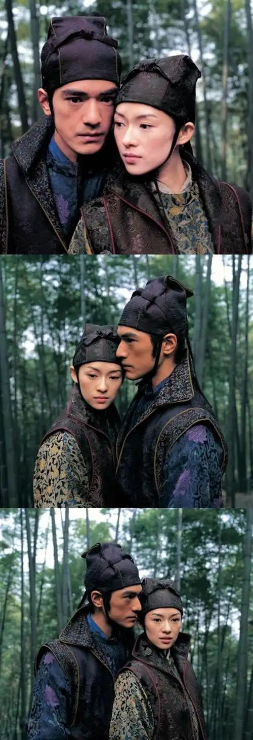 《十面埋伏》是北京新画面影业公司于2004年出品的一部武侠电影,由