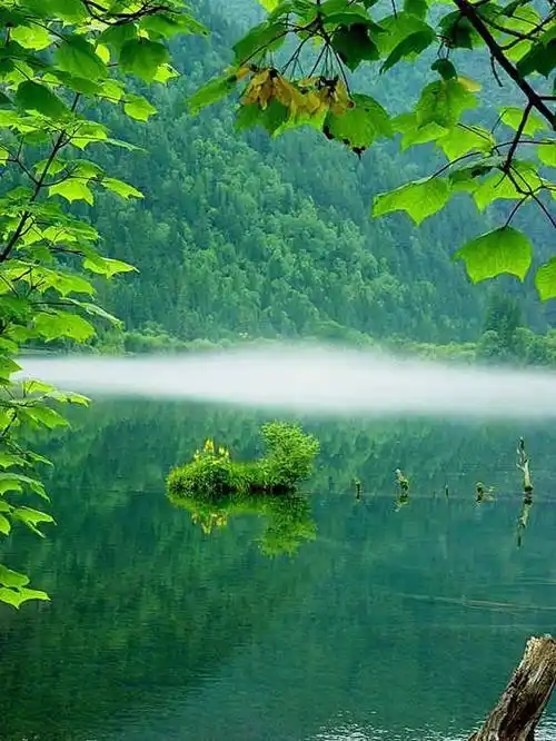 成熟的最高境界,是心境如水(荐读)