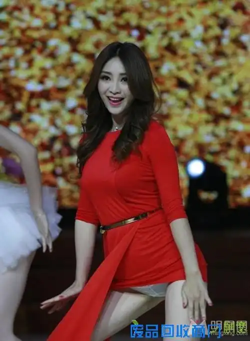 娱乐圈十大女星露底走光蔡依林(2)