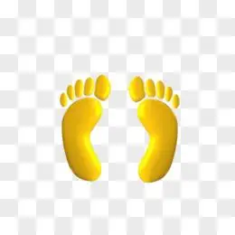 脚丫