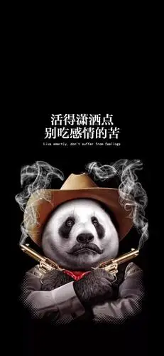 壁纸|抖音文字版壁纸精选推荐