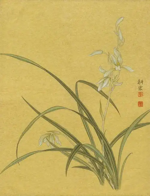 零基础如何自学工笔画?工笔画入门步骤,工笔黄牡丹设色步骤详解