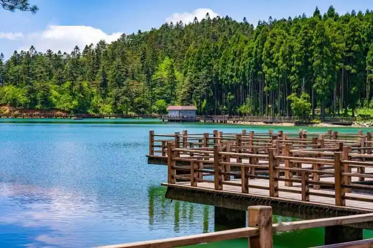 明月山这条公交线路有调整→_明月湾_洪江_旅游区