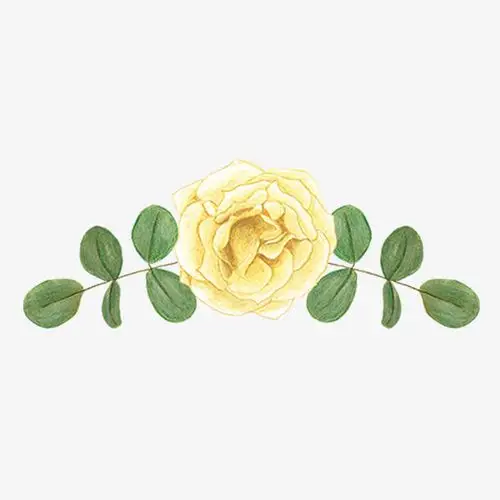 手绘水彩黄色玫瑰花图案