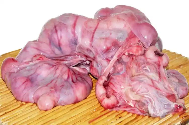 新鲜羊胎盘带羊羔现宰现卖包邮