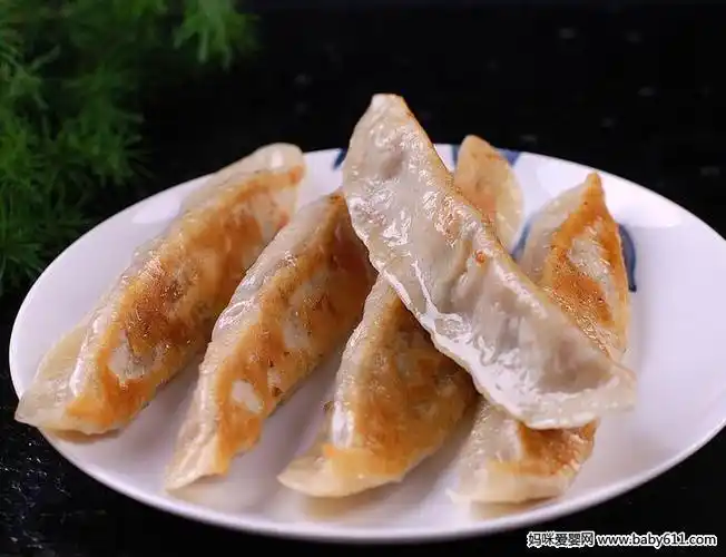 儿童饺子类食谱:水煎小饺