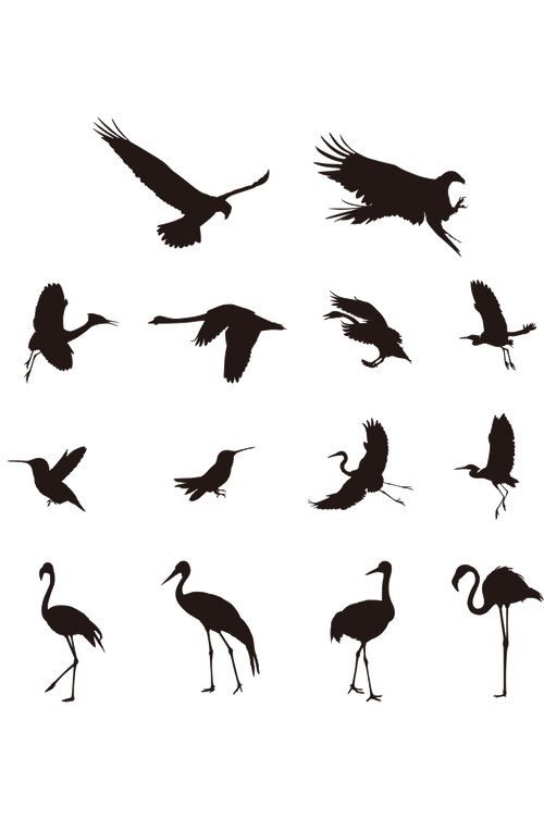 鸟类剪影矢量素材