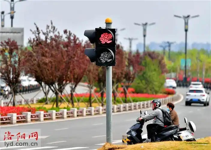 有创意洛阳牡丹形状红绿灯上岗