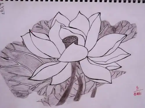 美术画画高中期中考作品简笔画初中简笔画绘画作品初中美术简笔画简单