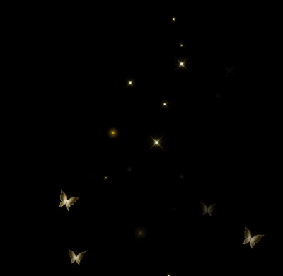 视频剪辑动图素材