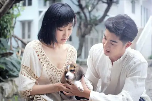 厉害了!黄龄与"制服男"化身爱宠达人