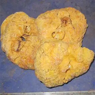 人胎盘的功效与作用(女人吃了胎盘神奇变化)