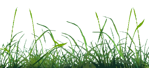 481_220gif 动态图 动图