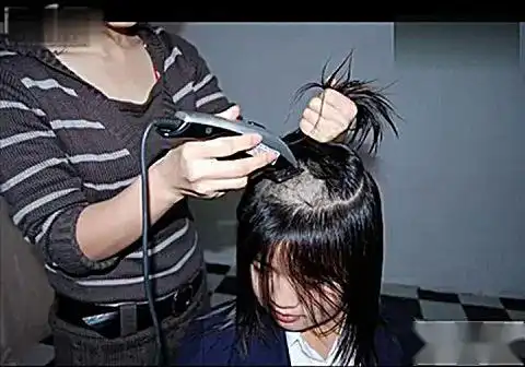 小树剪发网231号--光头健美操(1)