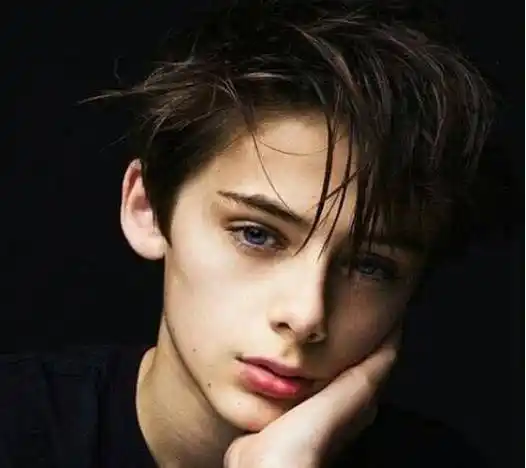 因长相出色,被日媒誉为"世界第一帅"的13岁少年,如今长啥样了_威廉