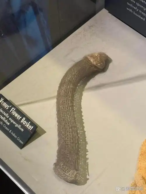 我男朋友有车有房无贷款,手头有超过8w 的储蓄