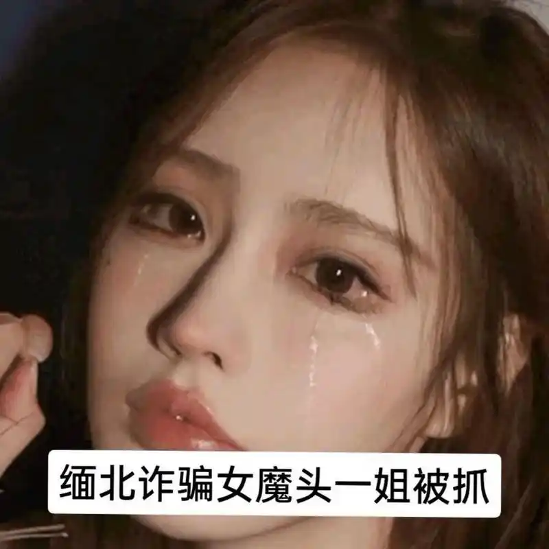 她通过欺骗手段将中国人诱骗至缅北地区,逼迫他们向