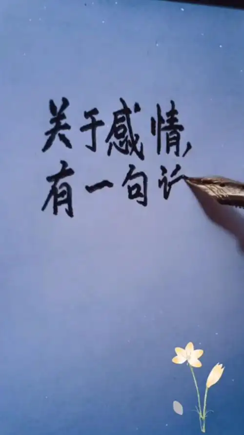 关于感情,有一句话说的特别好