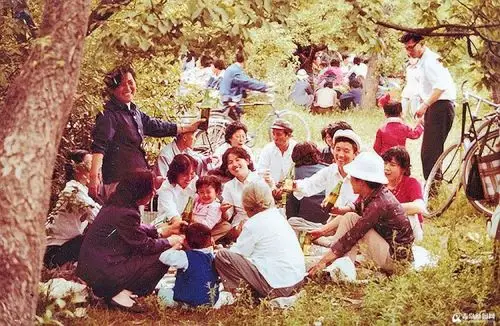 老照片:80年代的青岛春游季 里面有你的美好回忆吗