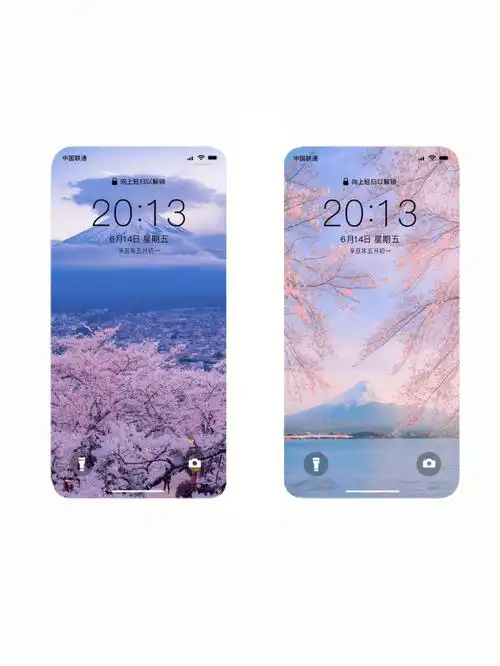 粉丝富士山樱花壁纸