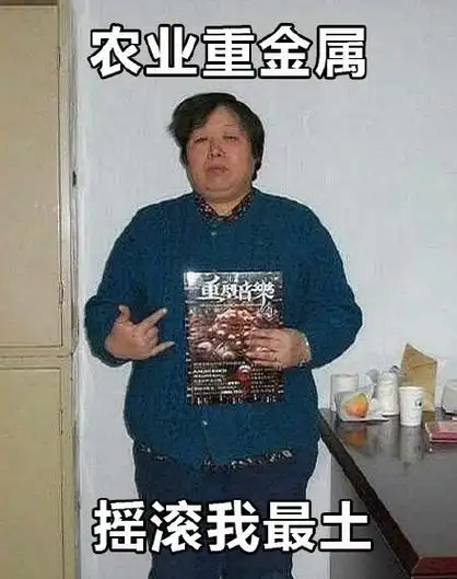 农村重金属,摇滚我最土 - 中国大妈风的表情包,画面感强烈,辣眼睛!