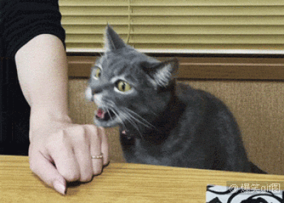 我错了对不起表情包