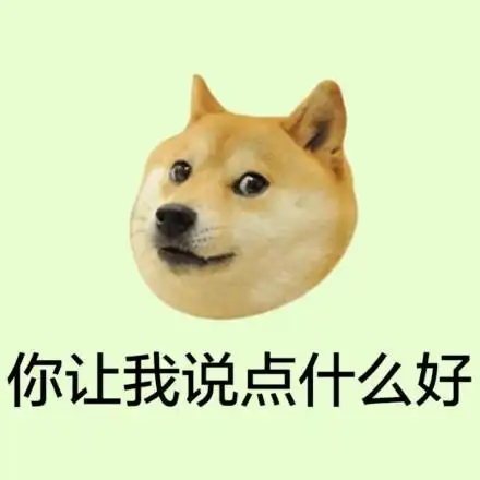 你让我说点什么好 - 柴犬 doge头像系列