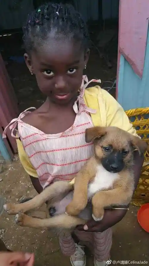 战狼2突破26亿票房黑人小女孩名利双收