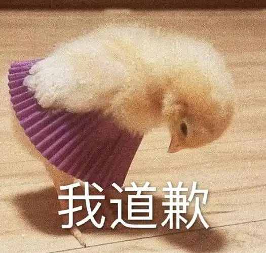 萌宠 猫星人 我道歉 我错了 呆萌 可爱