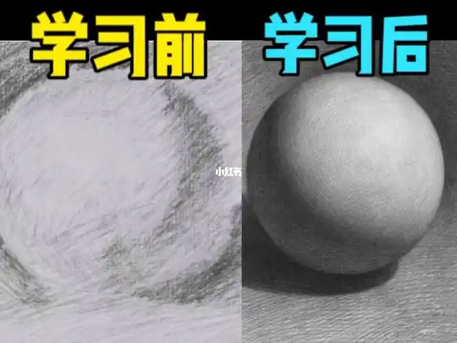 2招画好明暗交界线零基础素描入门教程