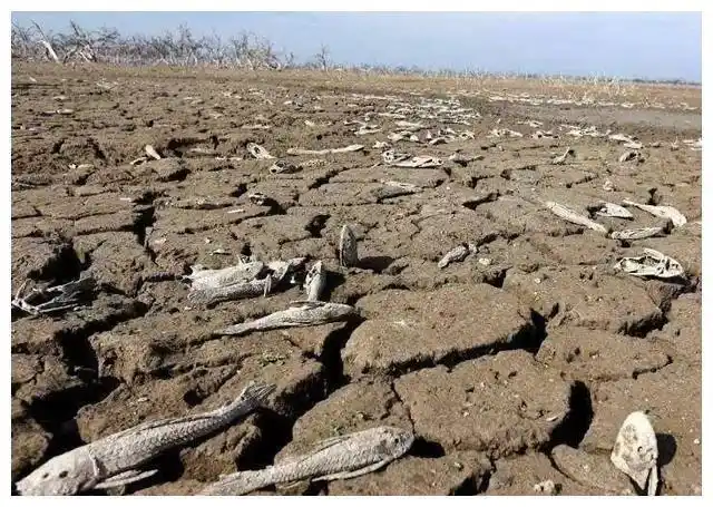 地球没水了,干旱严重