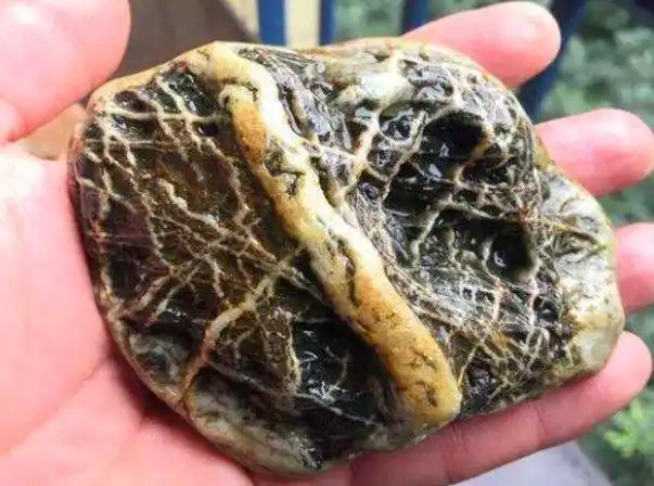 男子森林探险意外发现一块奇怪石头鉴定后难以想象