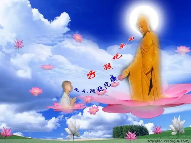 西方三圣接引众生往生极乐世界精美图集 - 阳光师姐 - 阳光师姐的清净