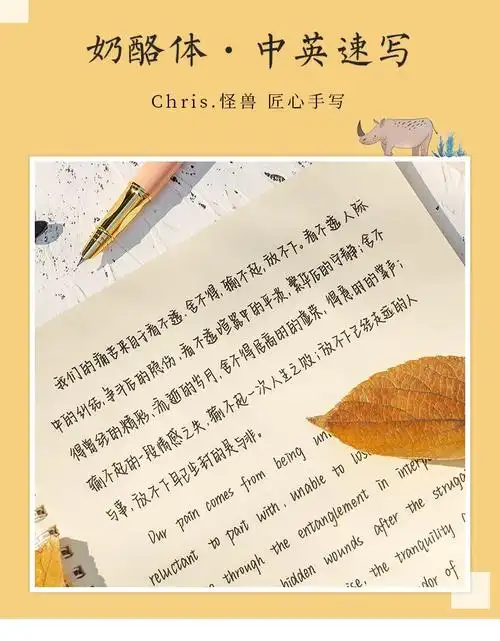 英文练字帖手写体中英速写奶酪陷阱chris.