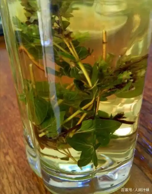 十大名茶也无法替代它在我心中的地位,无名之辈 香浓茶