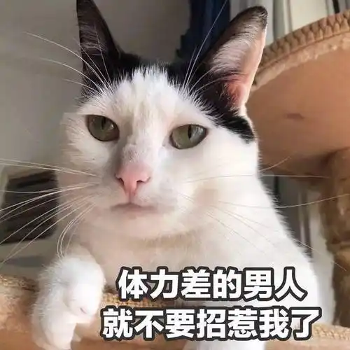 污污瑟瑟撩人色色表情包