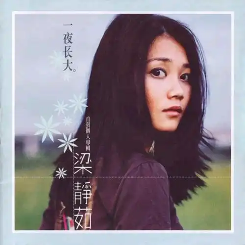 梁静茹回来了!五月发新专辑,主打歌《微光》mv已经上线