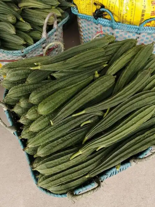 广东农家自种新鲜丝瓜3斤应季蔬菜八角丝瓜八棱丝瓜现摘现发53斤