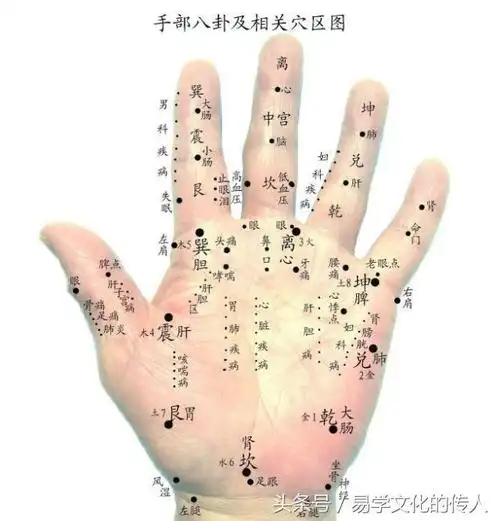 手相中八卦九宫蕴含的奥秘