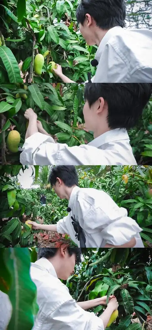 马嘉祺李宁运动青春产品全球代言人