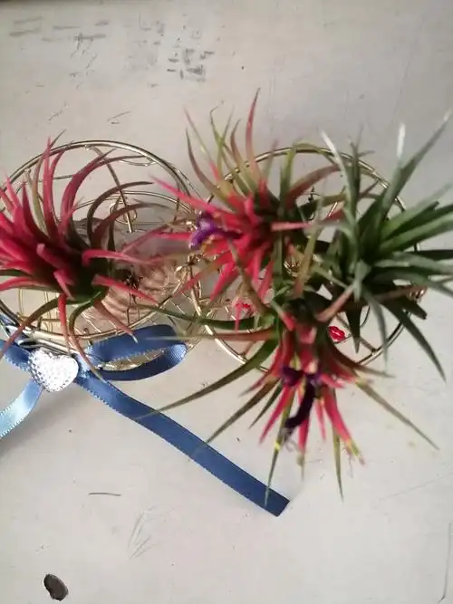 女人右手无名指太阳丘第一节与手掌连接处有痣,是怎么样?