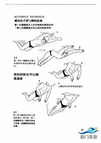 游泳技巧图解一蝶泳技术提高篇
