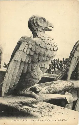 巴黎圣母院的怪兽