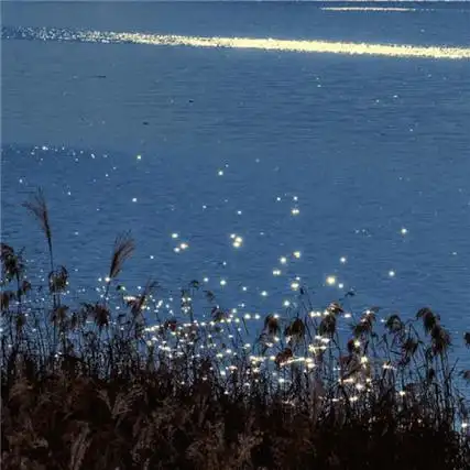 高颜值的背景图最新合集 你恰好盛开我刚好路过