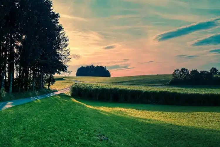 草甸 景观 暮光之城 树 阴影 阳光超高清壁纸 - 自然风光 - 好4k壁纸
